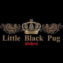 Little Black Pug