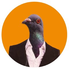 Pigeon Thing