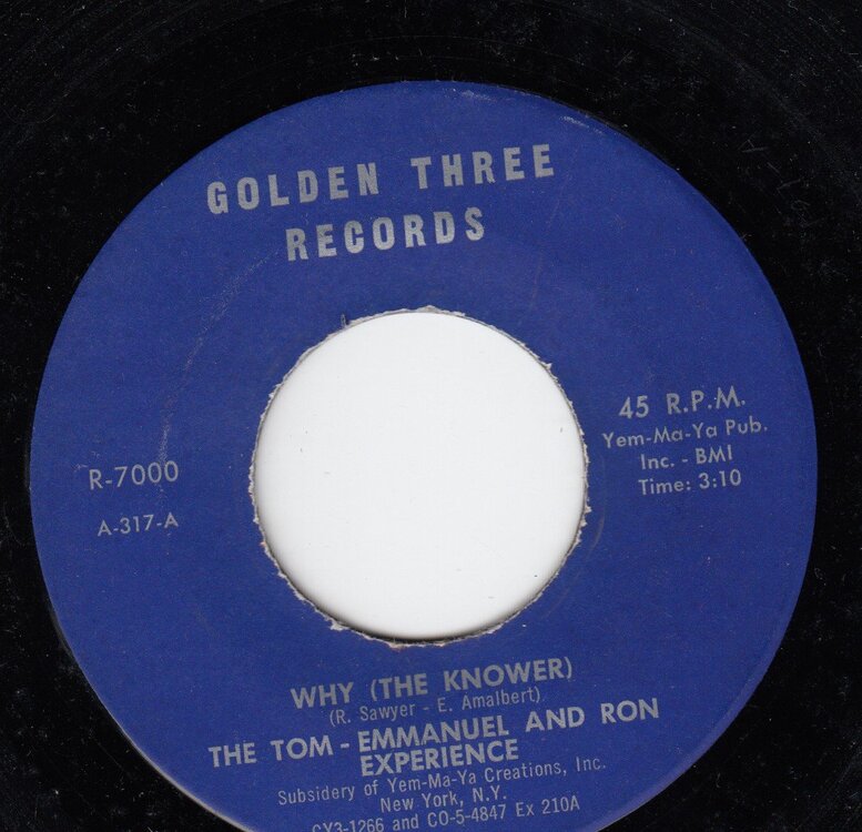 The Tom-Emmanuel & Ron Experience Why The Knower (Golden Three) A.jpg