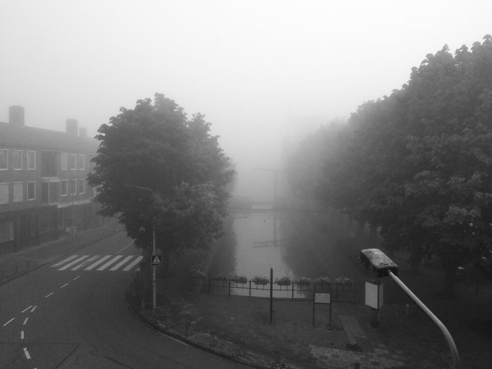 Fog-Aug2017.thumb.jpg.f61e27c994381e8748b1e3be64c0610f.jpg