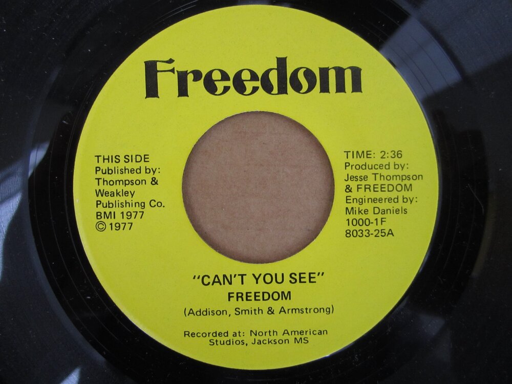 Freedom - can´t you see FREEDOM.JPG