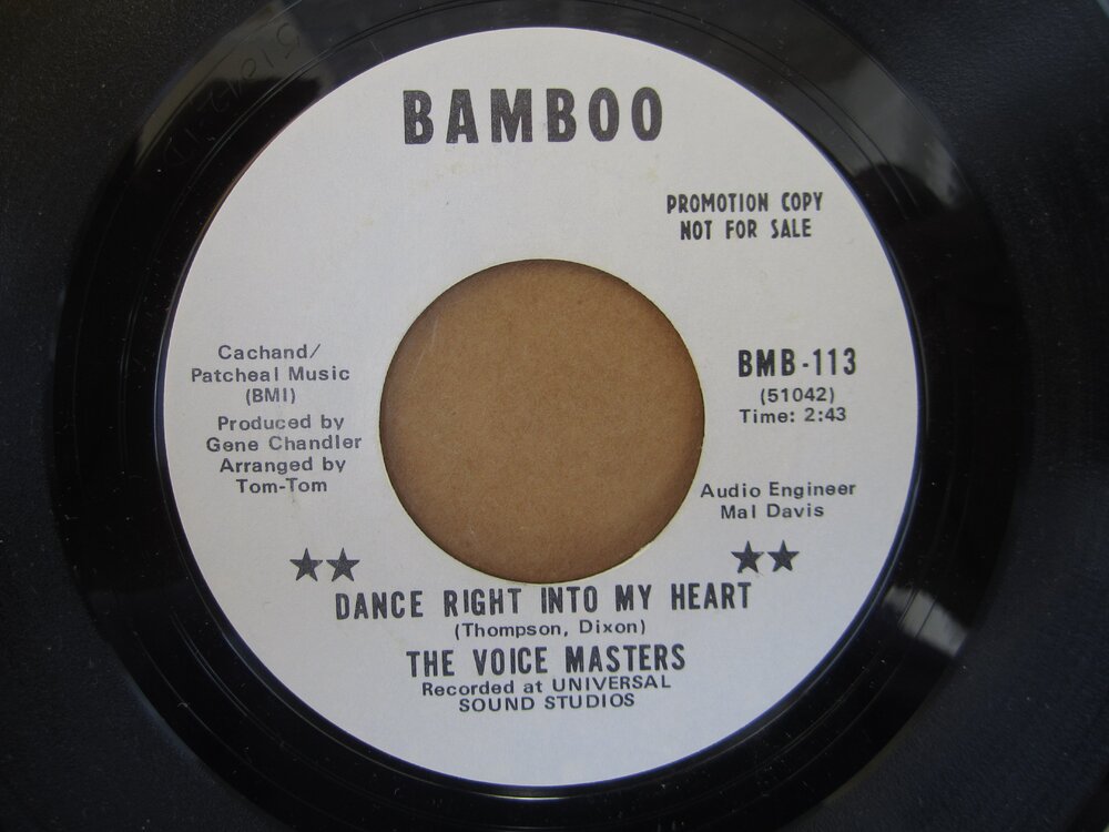 Voice Masters - dance right into my heart BAMBOO.JPG