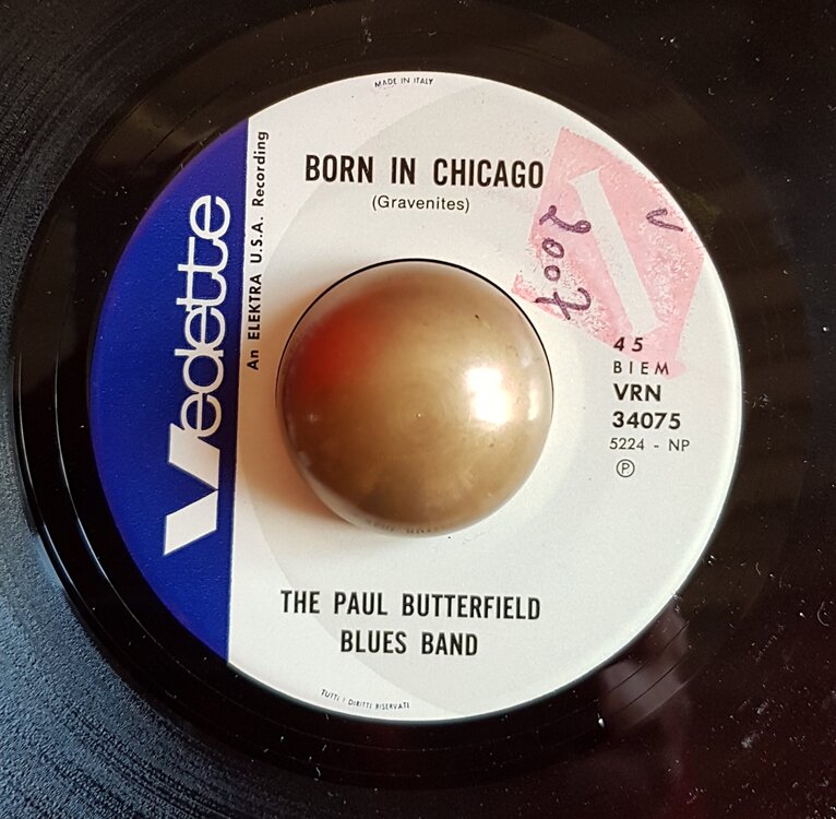 The Paul Butterfield Blues band Born in Chicago VEDETTE (ITA).jpg
