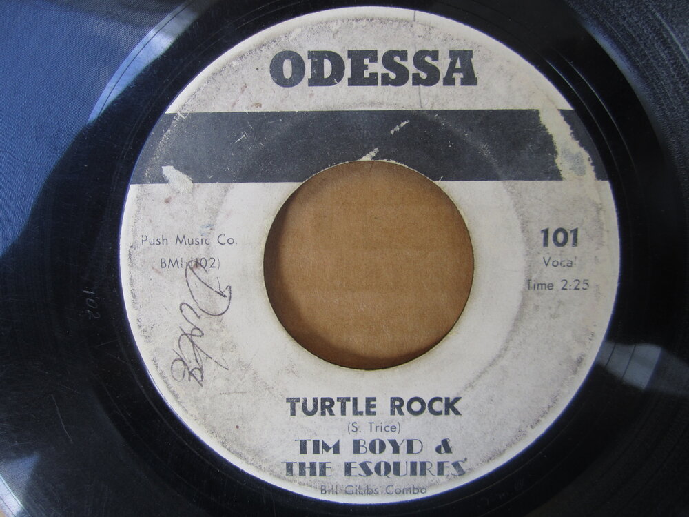 Tim Boyd & The Esquires - turtle rock ODESSA.JPG