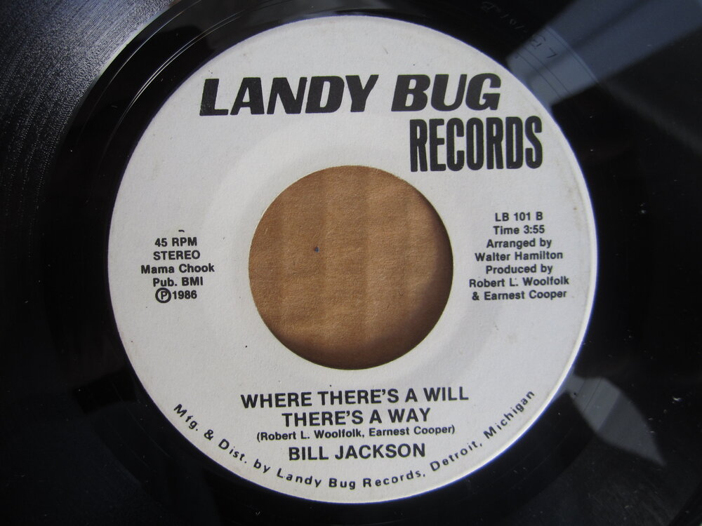 Bill Jackson - where there's a will there's a way LANDY BUG.JPG
