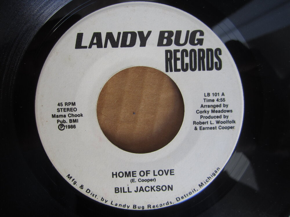 Bill Jackson - home of love LANDY BUG.JPG