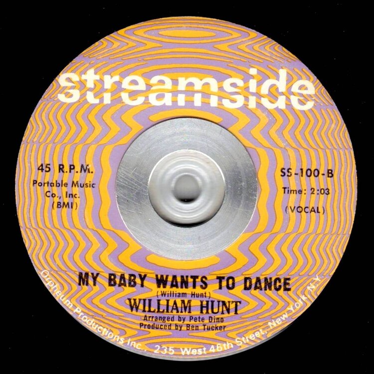 Hunt William Hunt Would You Believe  bw My Baby Want's To dance Streamside SS 100 B.jpg