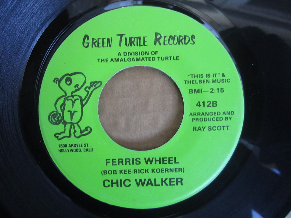 Chic Walker - ferris wheel GREEN TURTLE.JPG