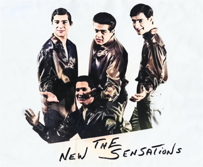 The New Sensations, Detroit - The Full Story by MD Records