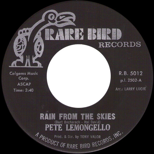Rare Bird Records.jpg