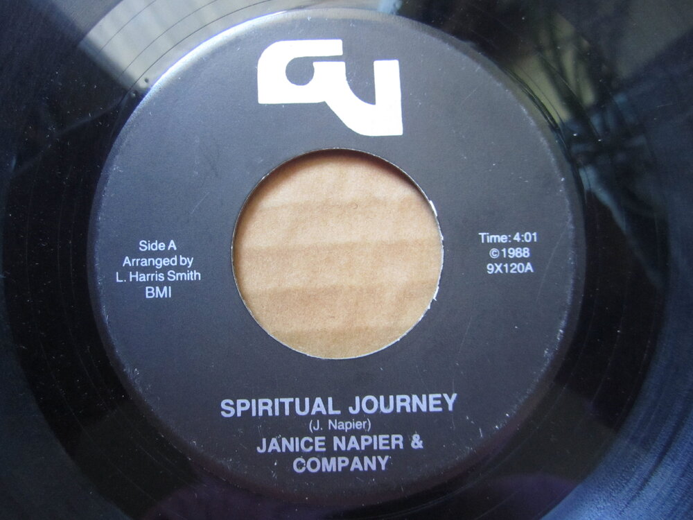 JANICE NAPIER & COMPANY - spiritual journey GV.JPG