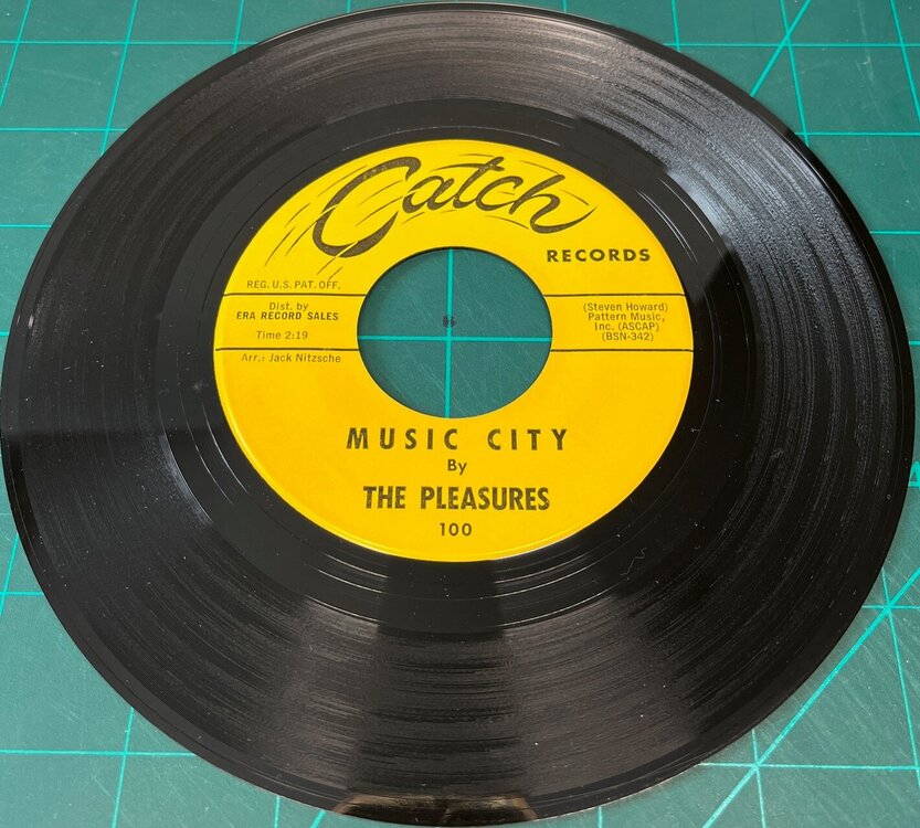 pleasures - music city [catch].jpg