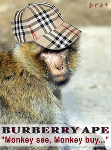 burberry ape