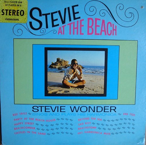 stevie wonder - stevie at the beach