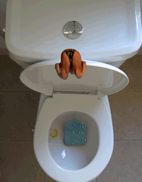 toilet fun