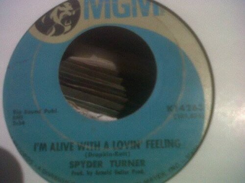 spyder turner-i'm alive with a loving feeling