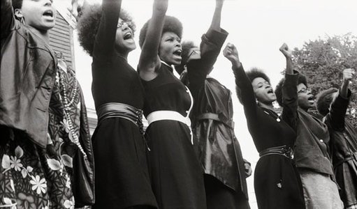The Black Panthers: Vanguard of the Revolution Film 2015