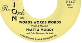 Pratt & Moody - Word Word Words - Timmion  Records - Out now
