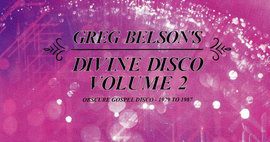 Greg Belson's Divine Disco Vol. 2