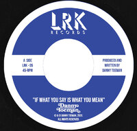 Danny Toeman - If What You Say Is What You Mean - LRK Records image