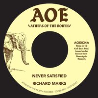 Richard Marks - Never Satisfied / Did You Ever Lose Something - AOE image