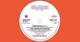 New Shotgun Records 45 - The Fantastic Puzzles - Come Back