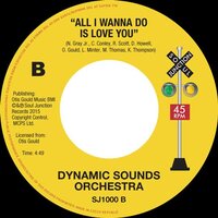 Dynamic Sounds Orchestra - Take Me Back - Soul Junction image