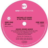 Michelle David  & The True-tones - Good Good Good- One World Records image