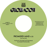 Gloria Scott - Promised Land - Acid Jazz 45 image