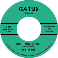 Willie Tee - First Taste of Hurt / I'm Having so Much Fun - Gatur Records -RSD 2022 image