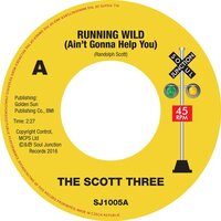 The Scott Three - Running Wild (Ain’t Gonna Help You) /  Gotta Find A New Love - Soul Junction image