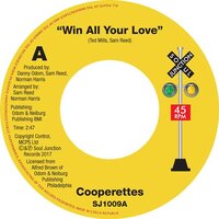 The Cooperettes / The Toppiks - Win All Your Love - Soul Junction image