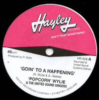 Popcorn Wylie - Goin' To A Happening - Hayley Records image