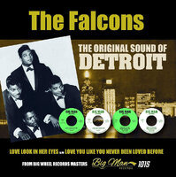 The Falcons - Love Look In Her Eyes / Love You Like You Never Been Loved - BMR 1015 image