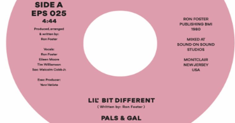 45 - Pals & Gal - Lil Bit Different -  Epsilon Record Co EPS025 magazine cover