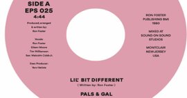 45 - Pals & Gal - Lil Bit Different -  Epsilon Record Co EPS025 thumb