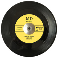 James Lately - What you’re doing - MD Records image