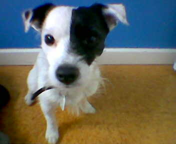 my alfie