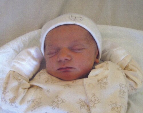ryan harpin