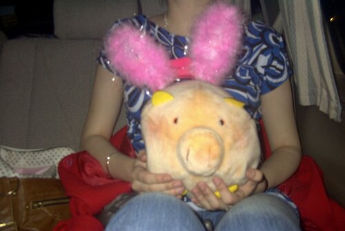 disco pig