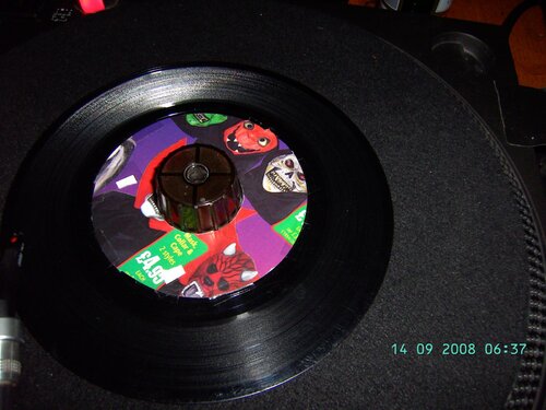 bild0498