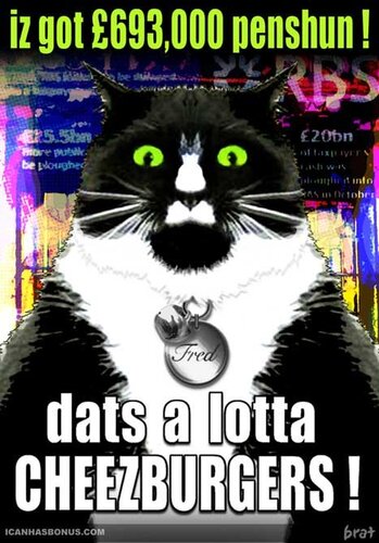 fat cat