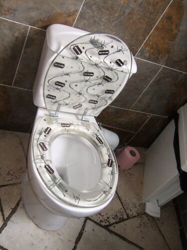 loo