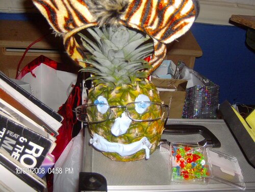 picture 010