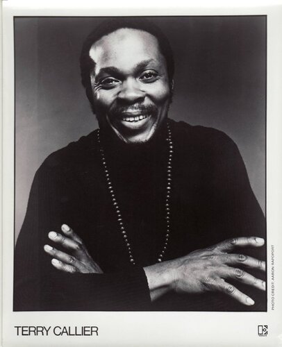 terry callier