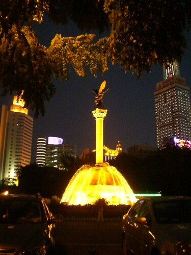 home, and night life 043