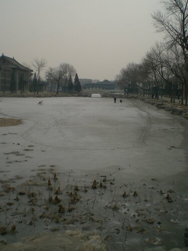 park 2012