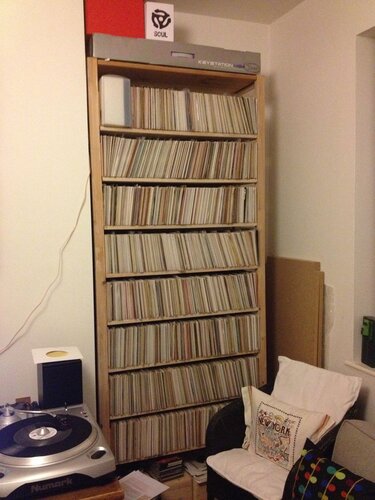 singles on ikea ivar shelving (2)