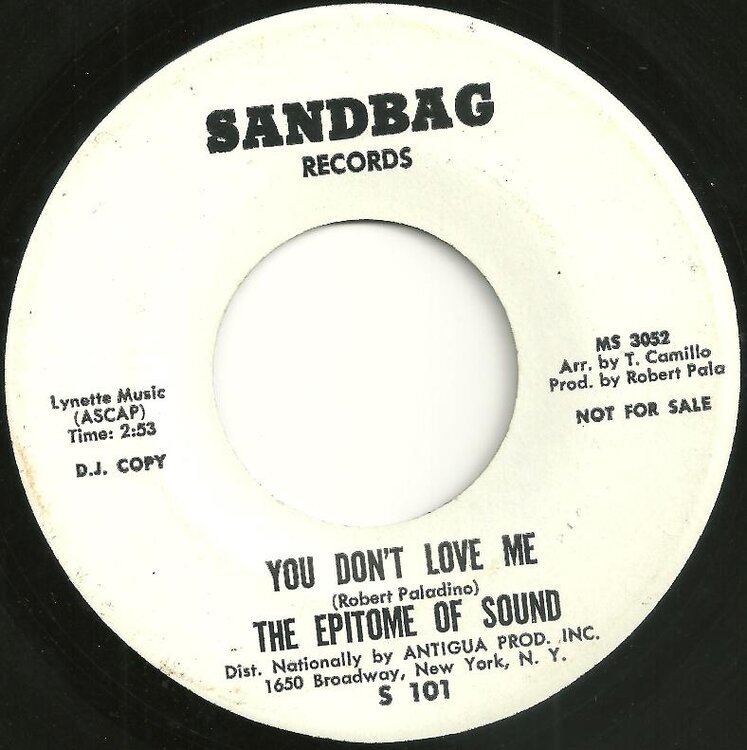56afbd5e1583c_Sandbag101DJ.thumb.jpg.fbf