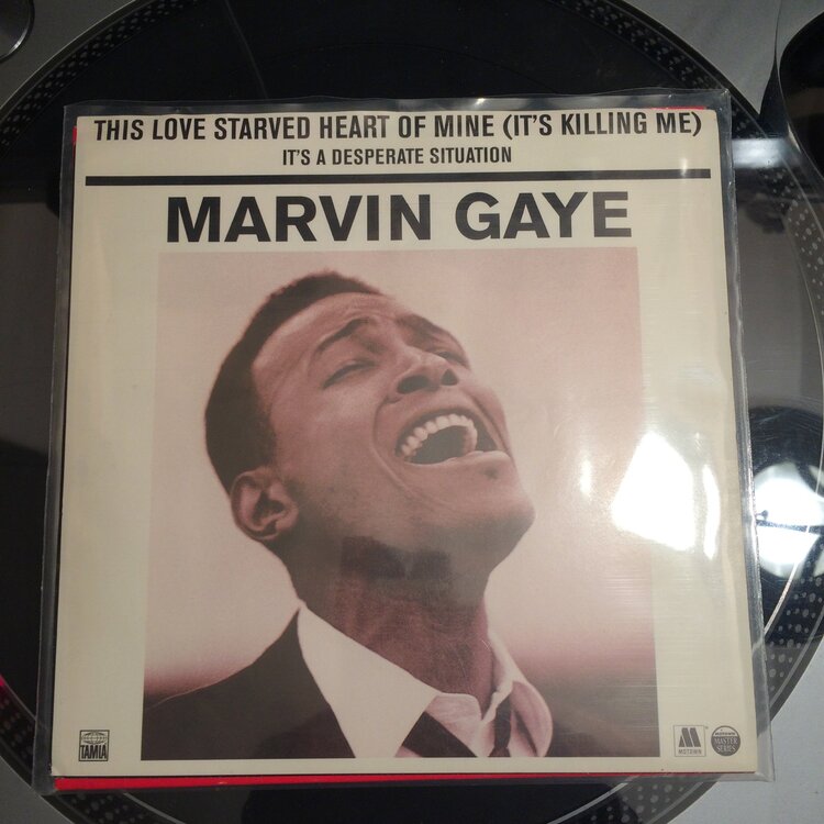 Marvin Pic.jpg